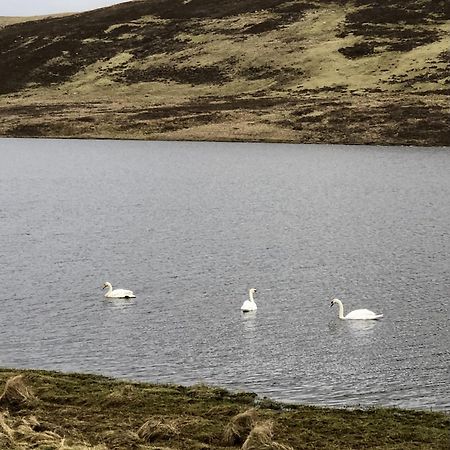 Scalloway Caravan Park Εξωτερικό φωτογραφία